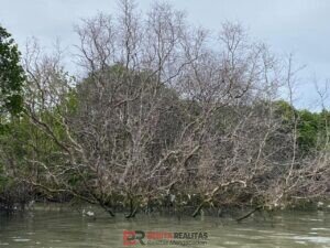 IMG-20260908-WA0011
